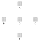 坐標(biāo)蓋塑片(Correlative Microscopy Coverslips?)